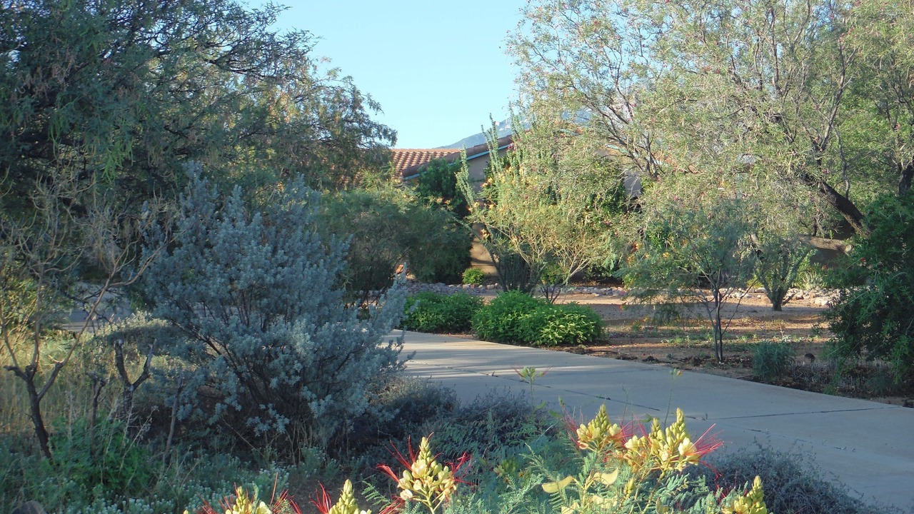 Photo of Others in Sierra Vista Southeast