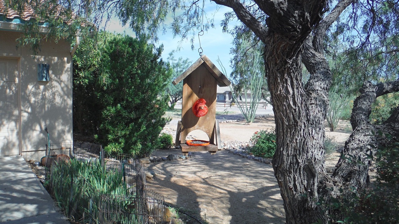 Photo of Others in Sierra Vista Southeast