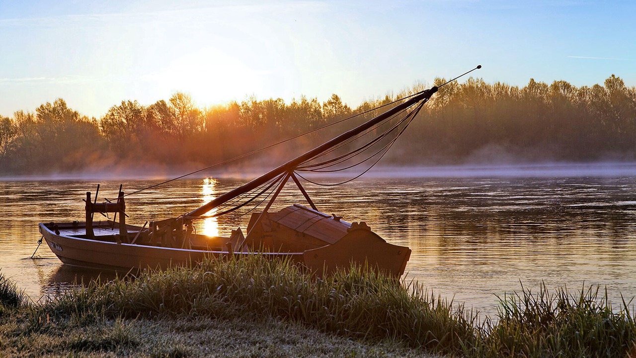Photo of Others in Ligny-le-Ribault