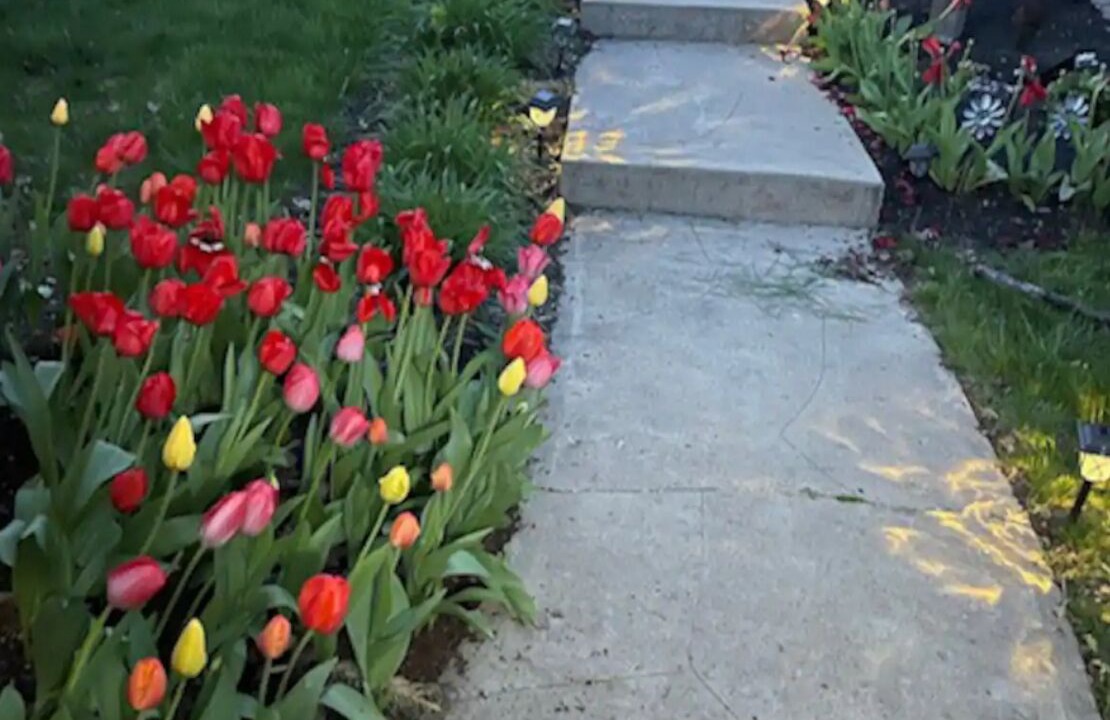 Photo of Outdoor in Rimmon Heights