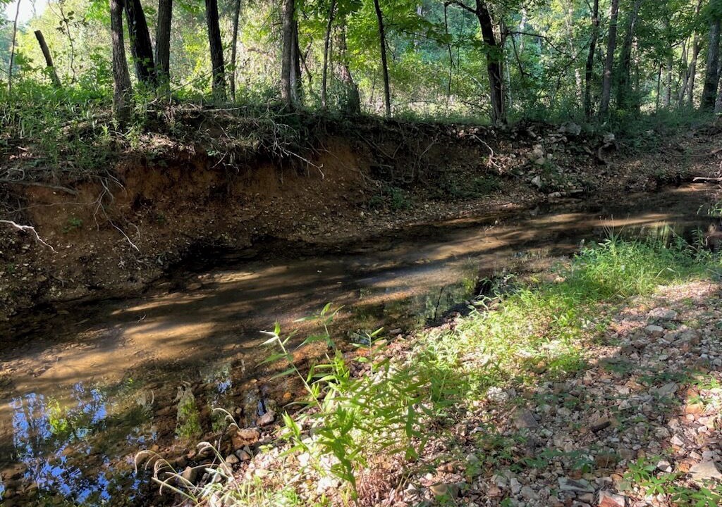 Photo of Others in Cherokee Village