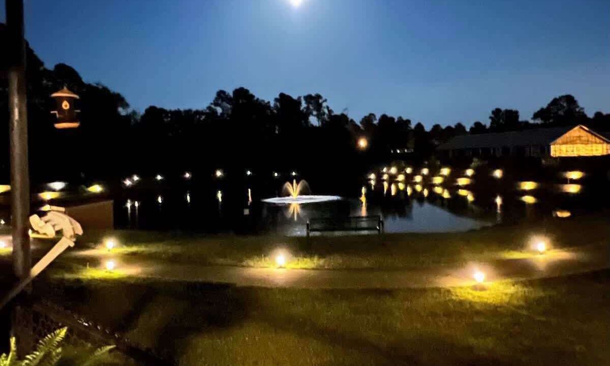 Photo of Outdoor in Longview