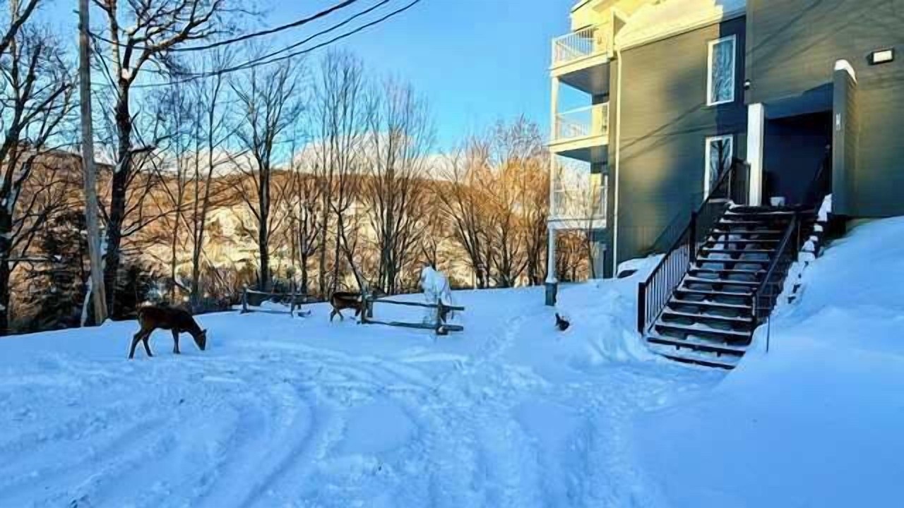Photo of Outdoor in Mont-Tremblant Village