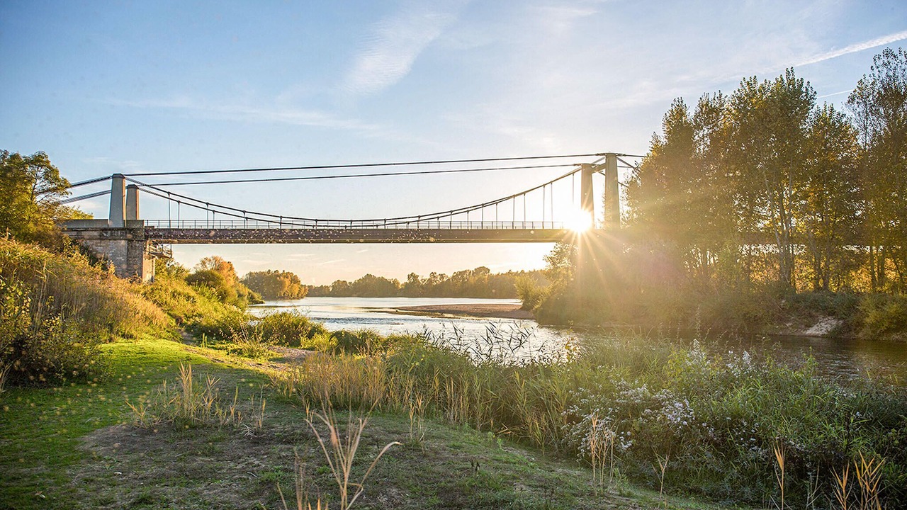 Photo of Others in Ligny-le-Ribault