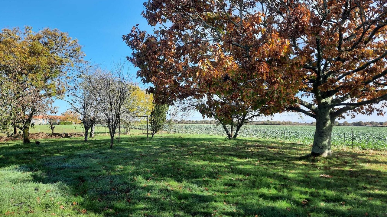 Photo of Outdoor in Saint-Vincent-sur-Jard