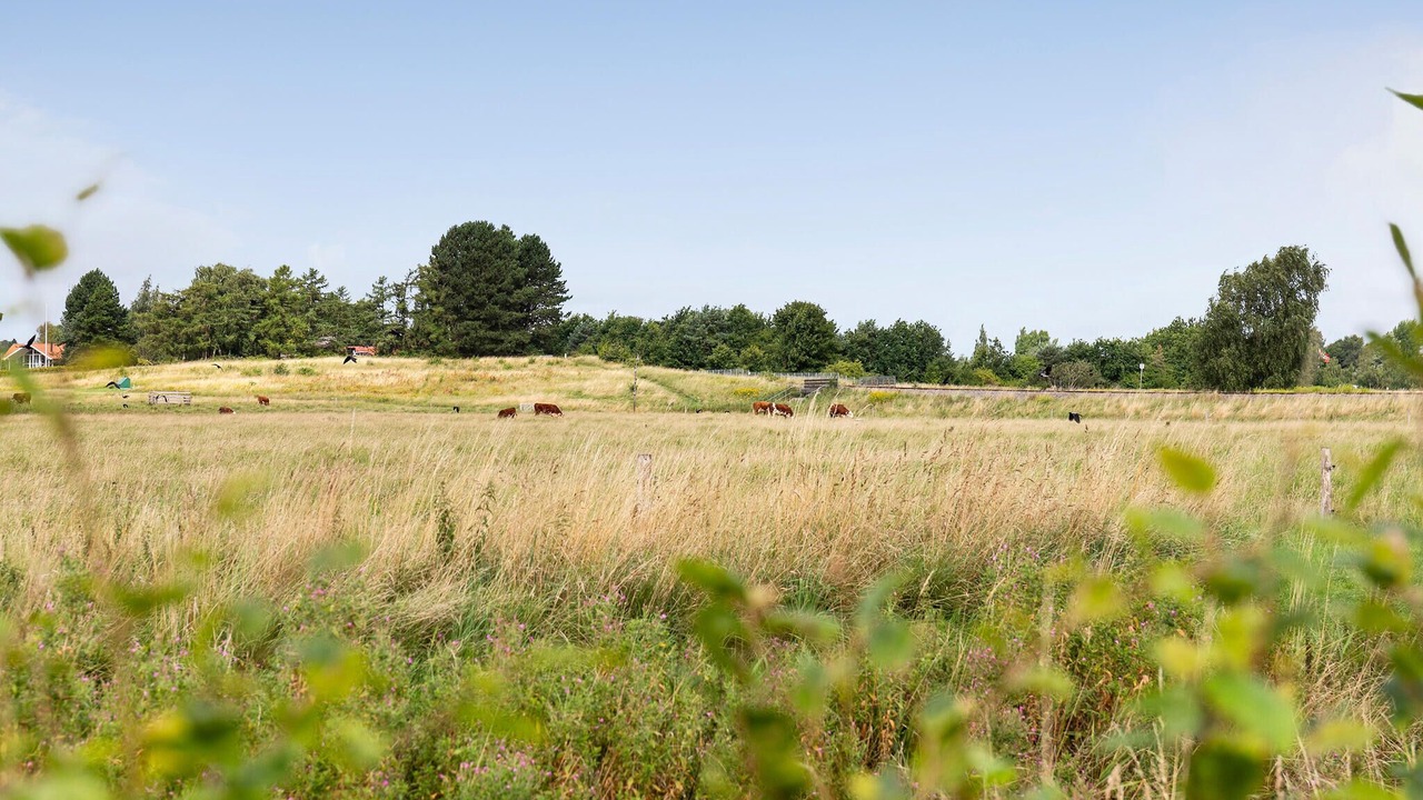 Photo of Others in Hornbaek