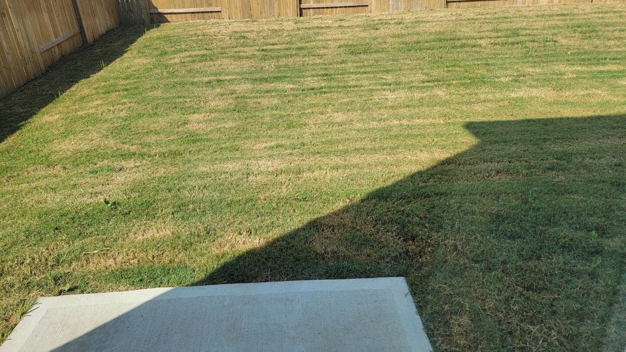 Photo of Outdoor in College Station