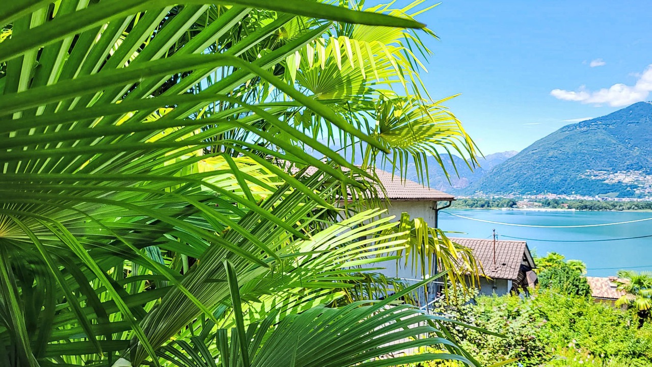 Photo of Outdoor in San Nazzaro