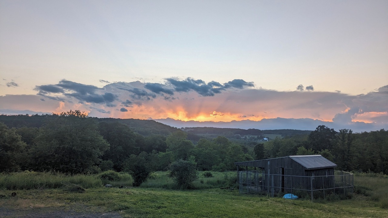 Photo of Others in Newfield