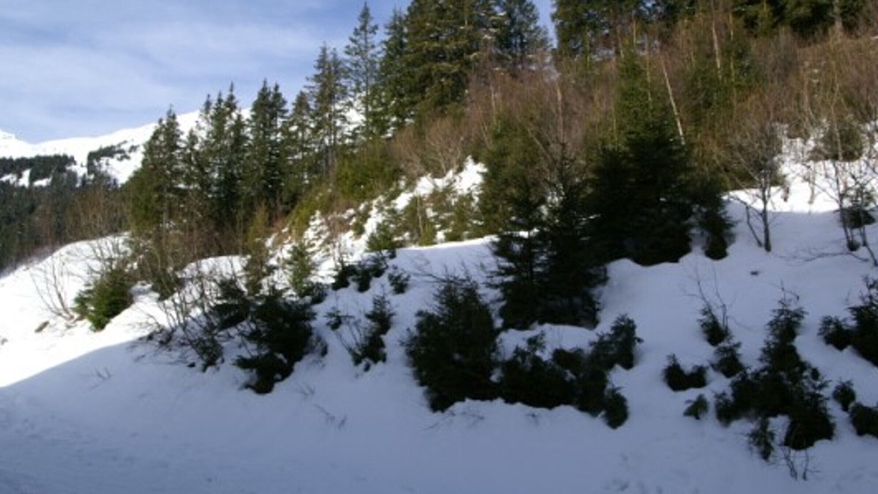 Photo of Outdoor in Le Pleynet