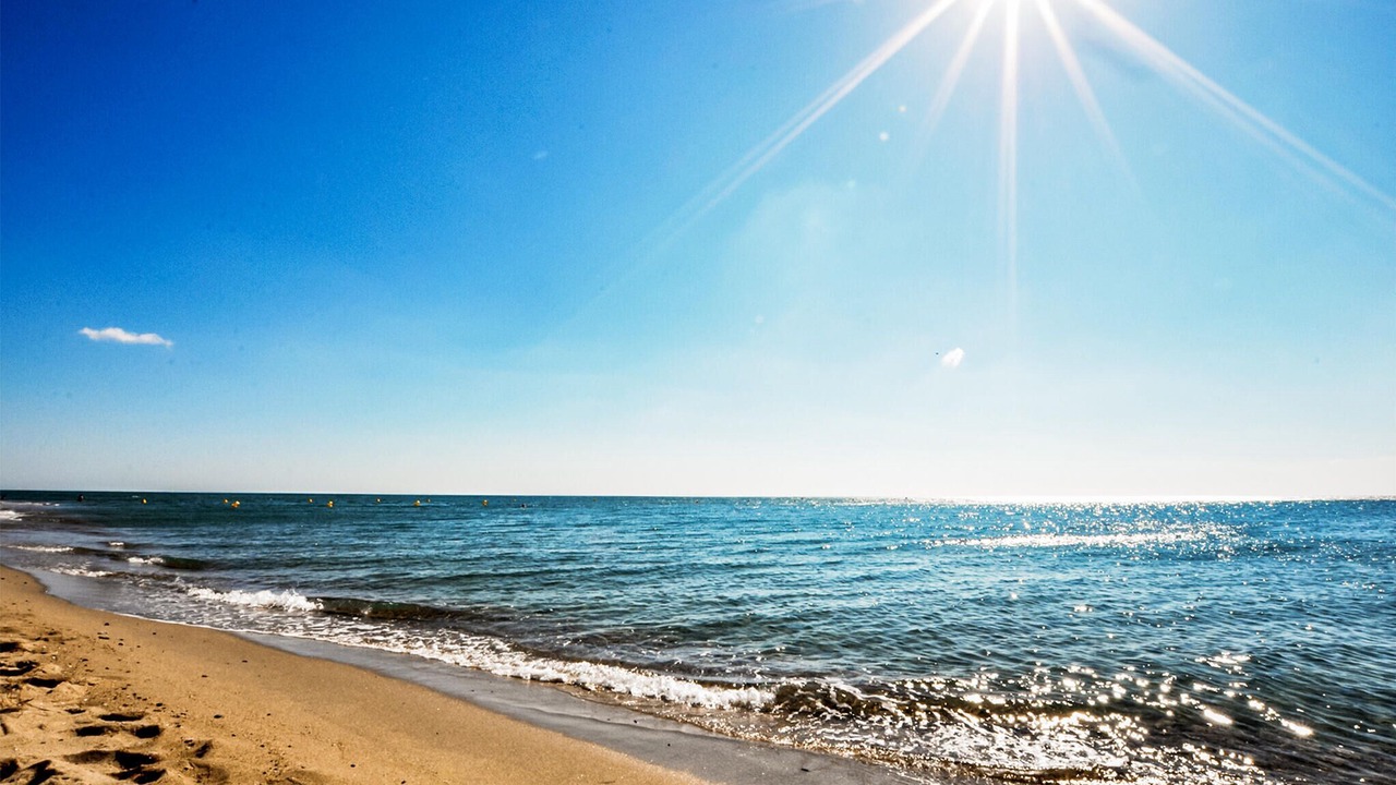 Photo of Others in Les Platanes