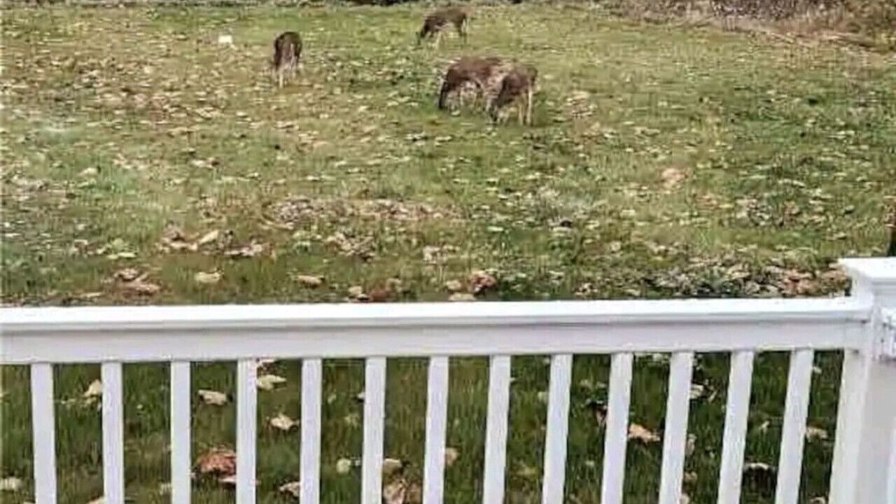 Photo of Outdoor in Peru