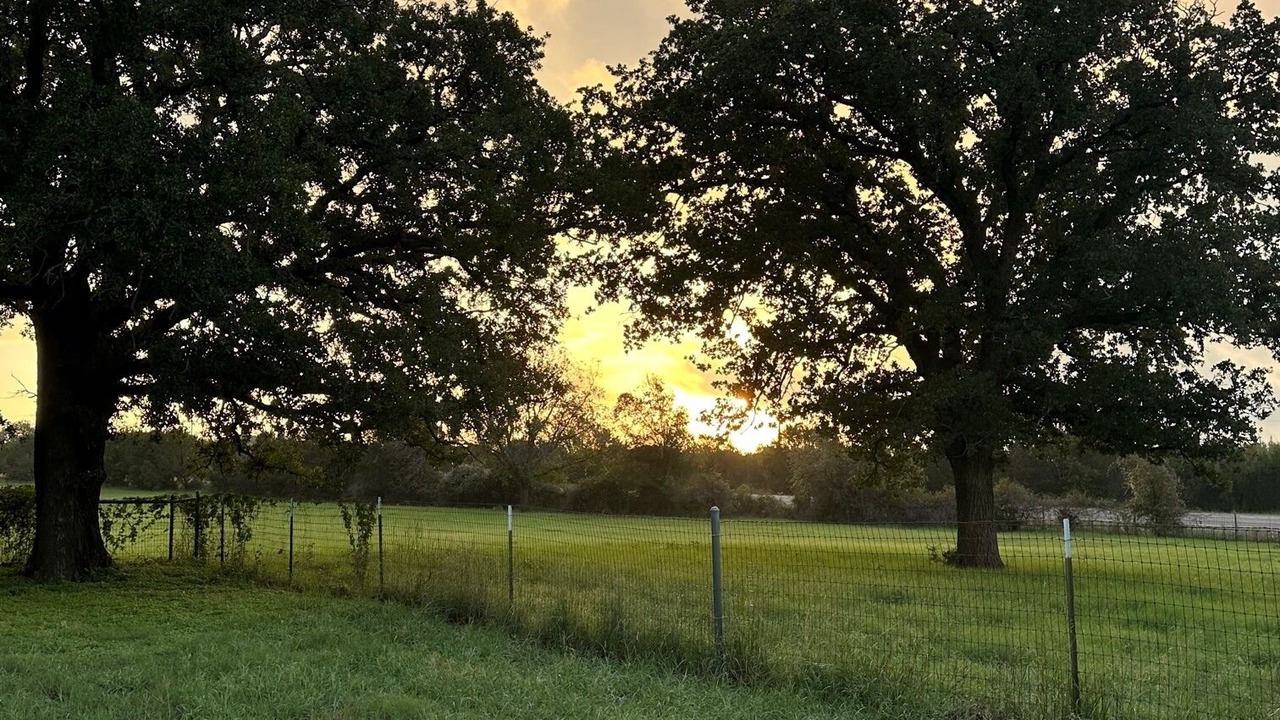 Photo of Others in Glen Rose