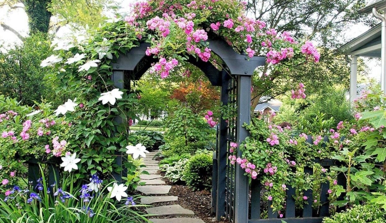 Photo of Outdoor in Mount Pleasant