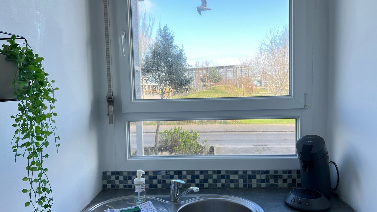 Photo of Others in Port