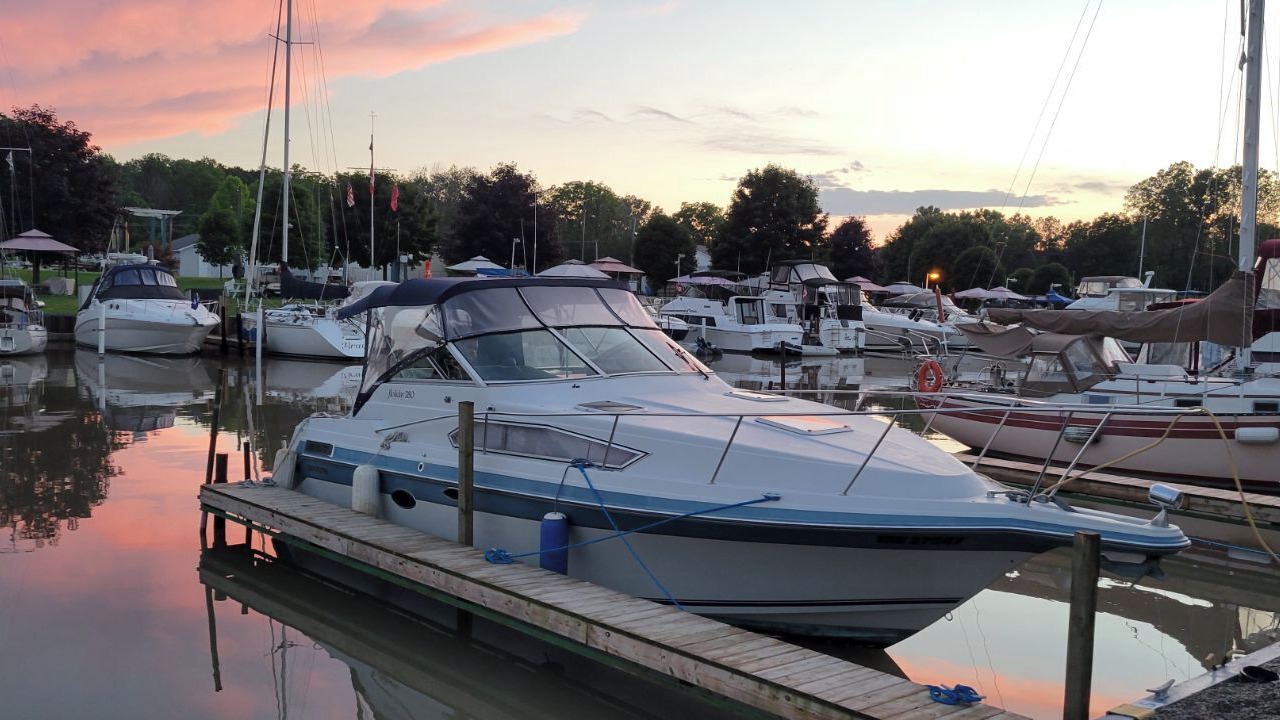 Photo of Others in Port Stanley
