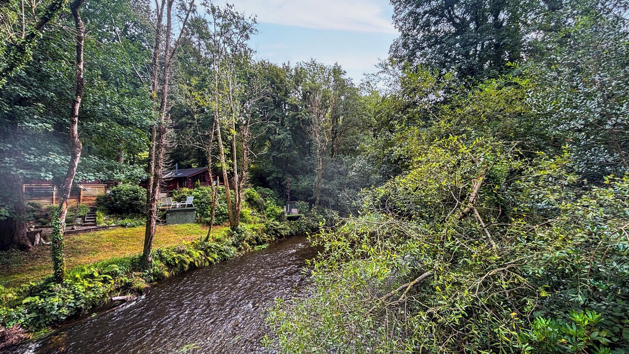 Photo of Others in Machynlleth