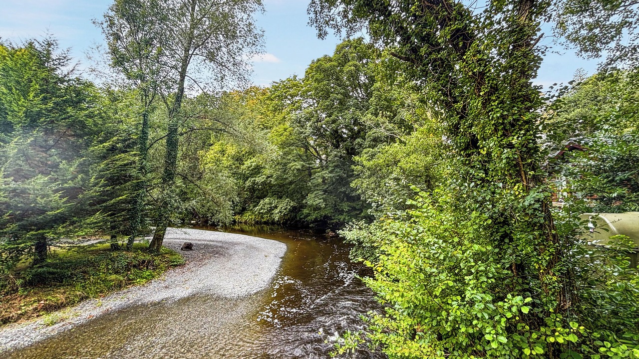 Photo of Others in Machynlleth