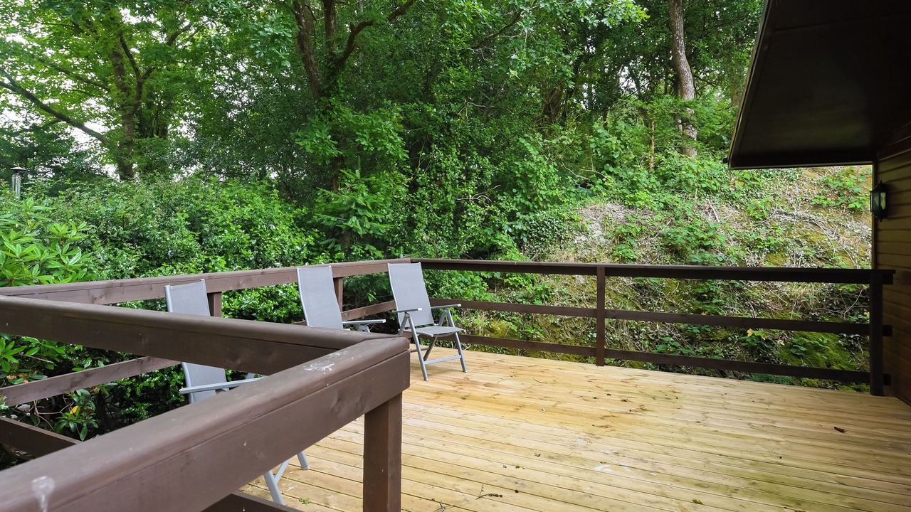 Photo of Others in Machynlleth