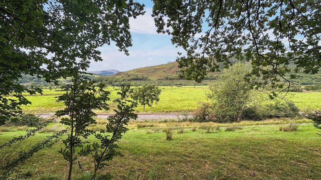 Photo of Others in Machynlleth