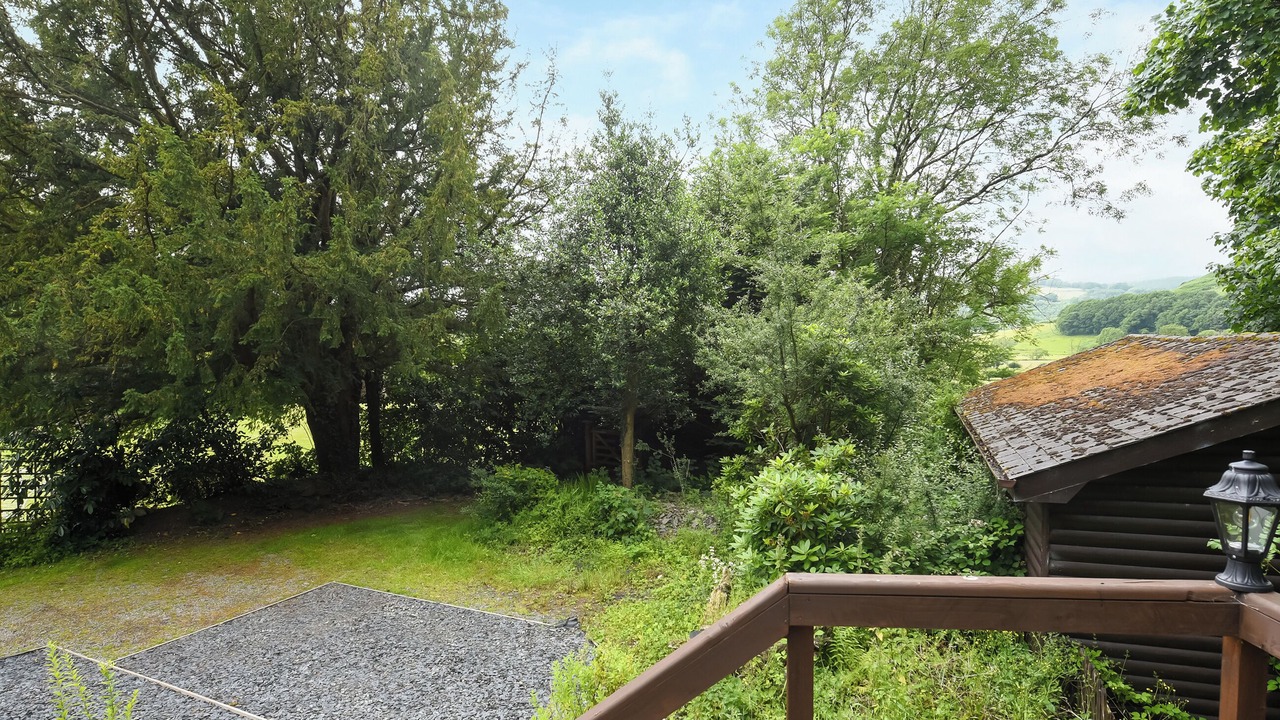 Photo of Others in Machynlleth