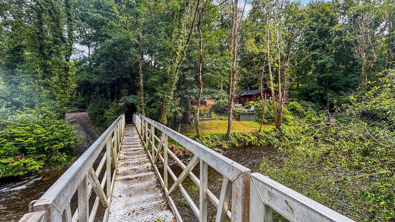 Photo of Others in Machynlleth