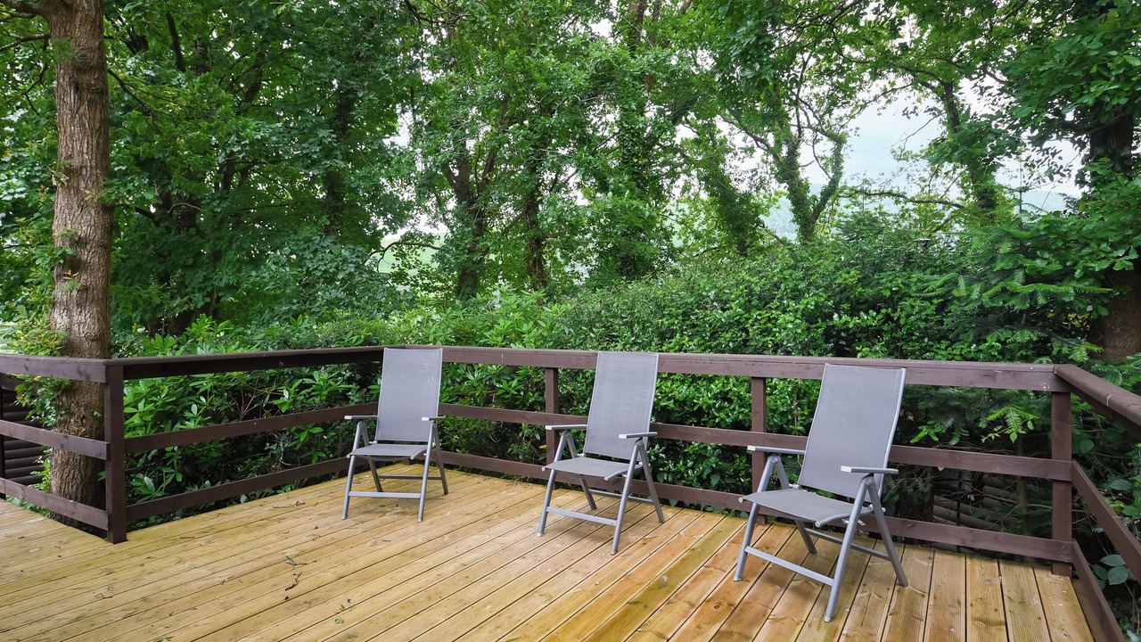 Photo of Others in Machynlleth