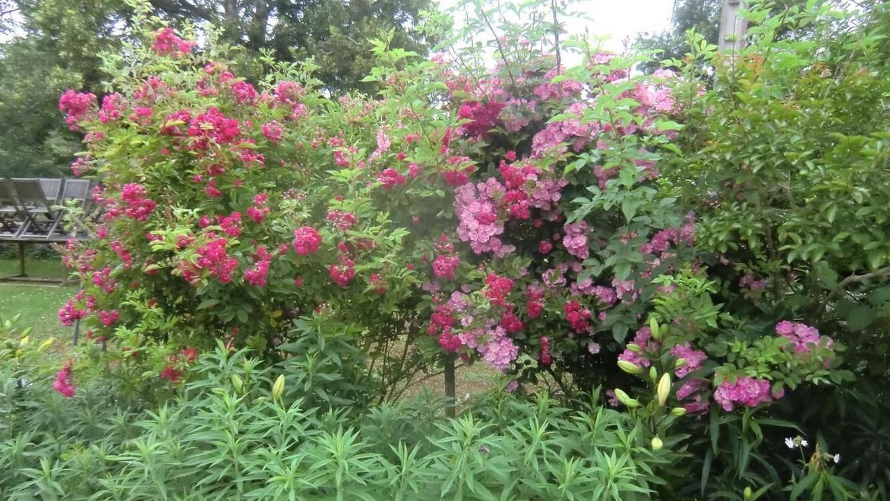 Photo of Outdoor in Saint-Medard