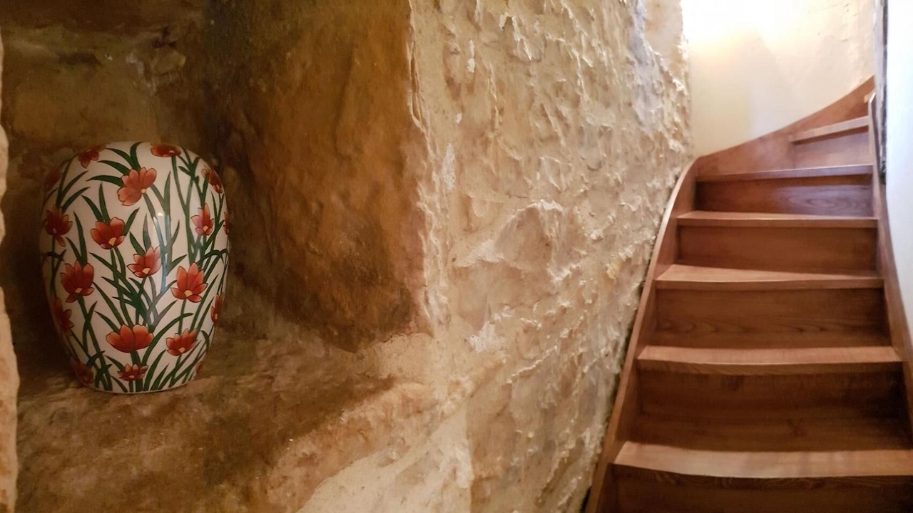 Photo of Others in Saint-Michel-Loubejou