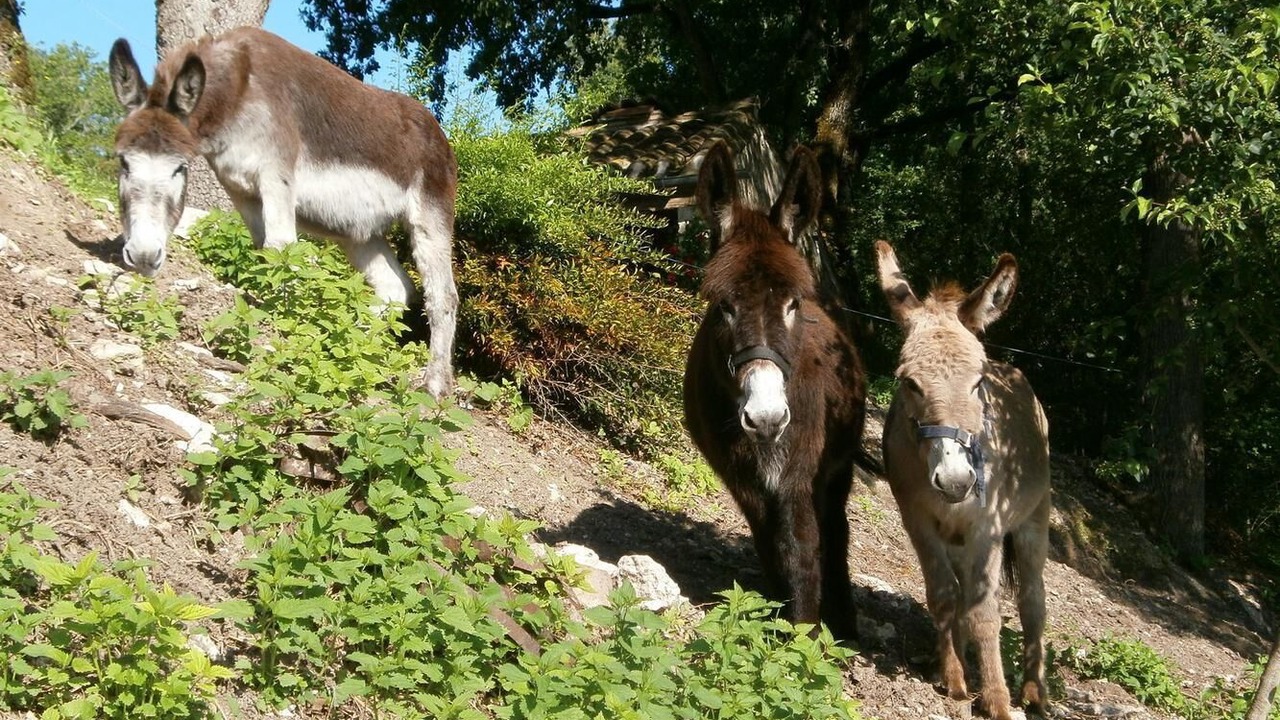 Photo of Outdoor in Castelnau-Montratier-Sainte-Alauzie