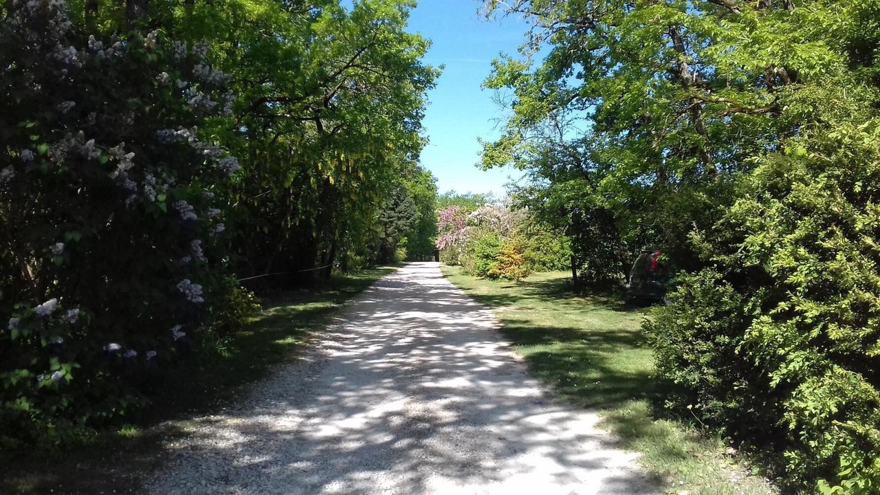 Photo of Outdoor in Castelnau-Montratier-Sainte-Alauzie