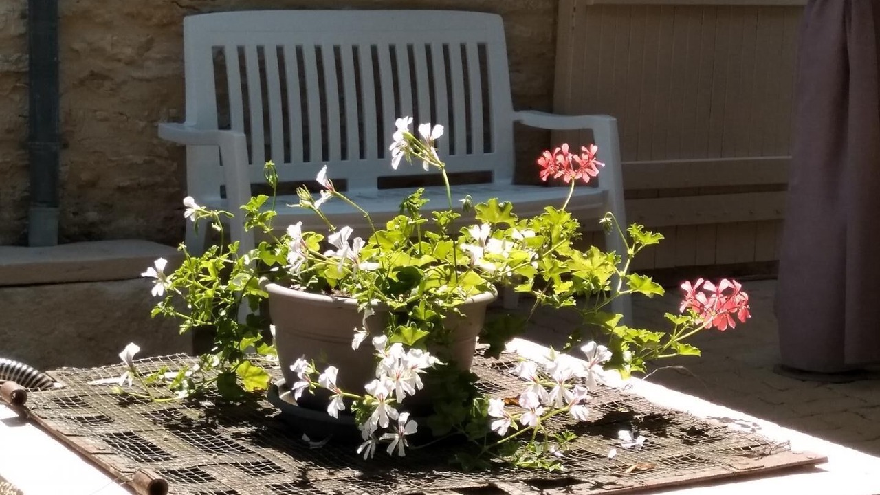 Photo of Outdoor in Gignac