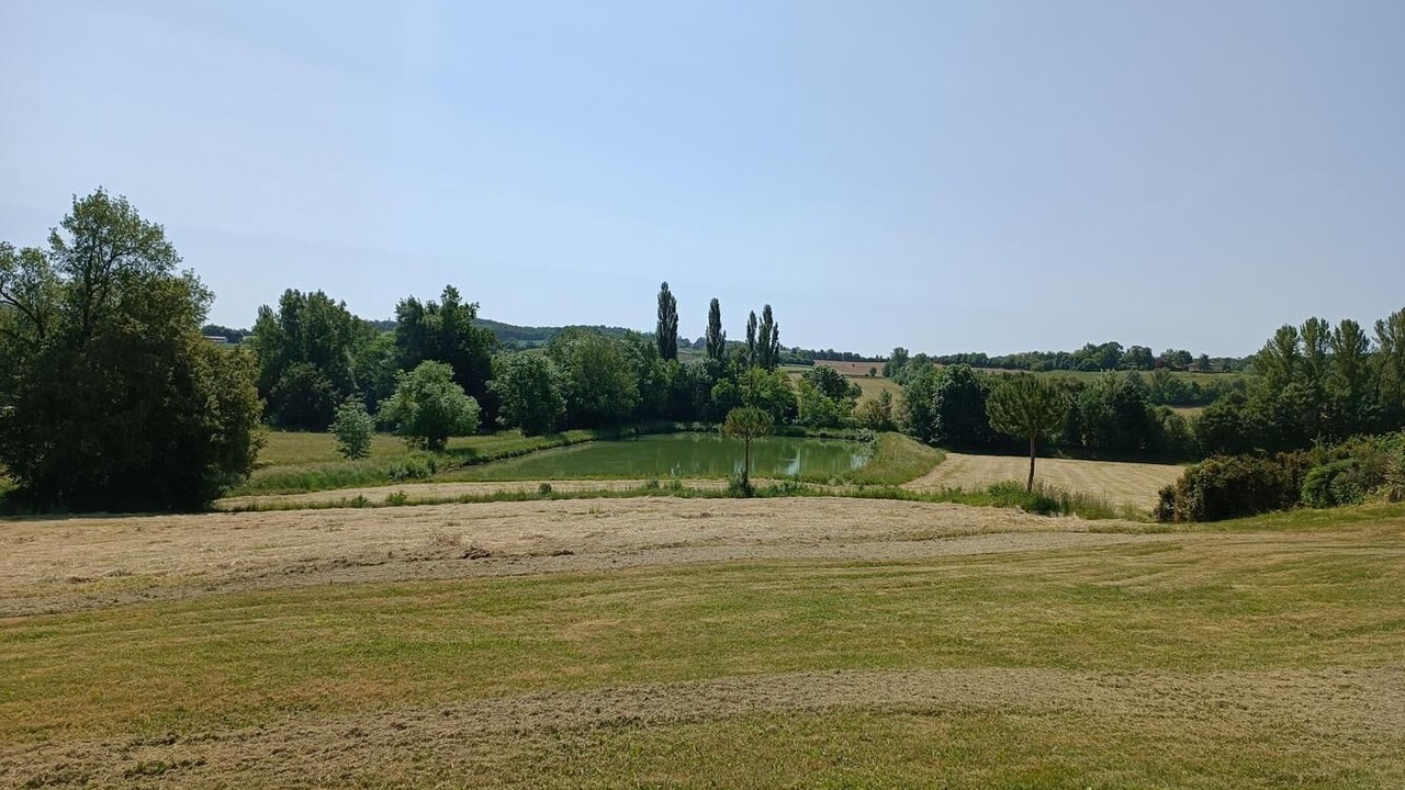 Photo of Others in Castelnau-Montratier-Sainte-Alauzie