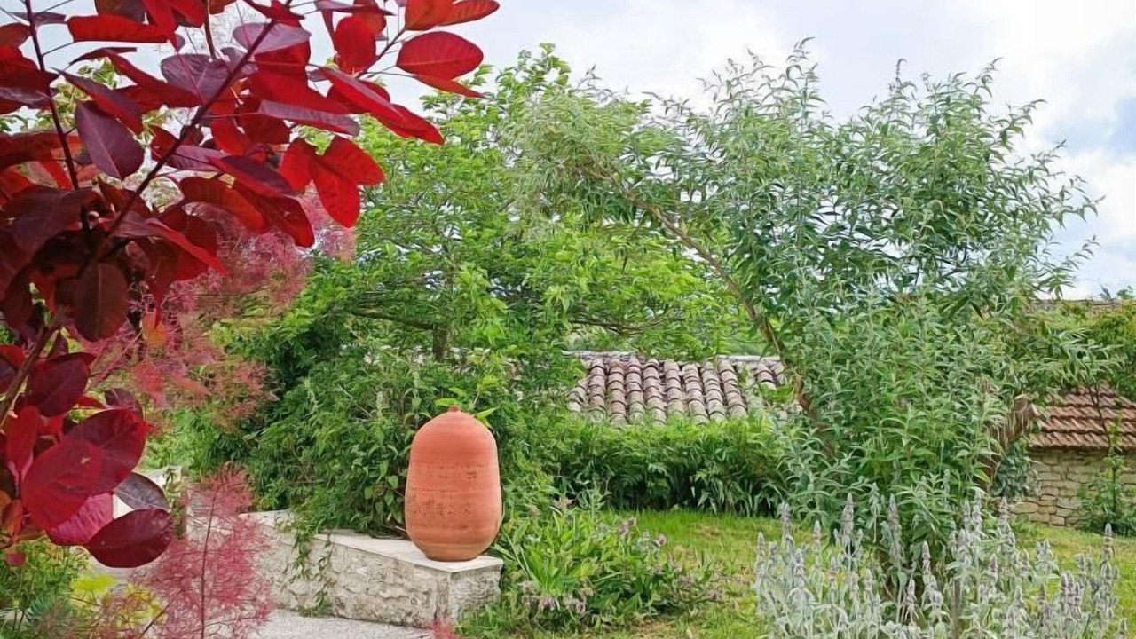 Photo of Outdoor in Villeseque