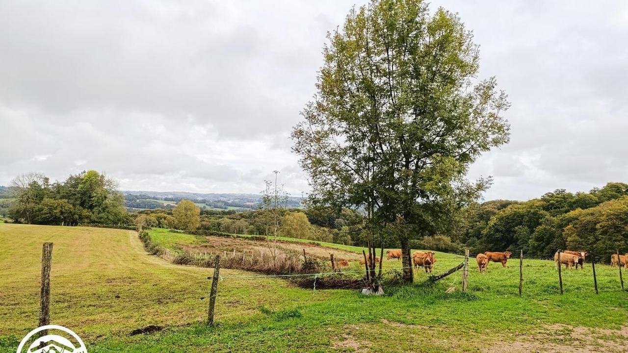 Photo of Others in Lacam-d'Ourcet