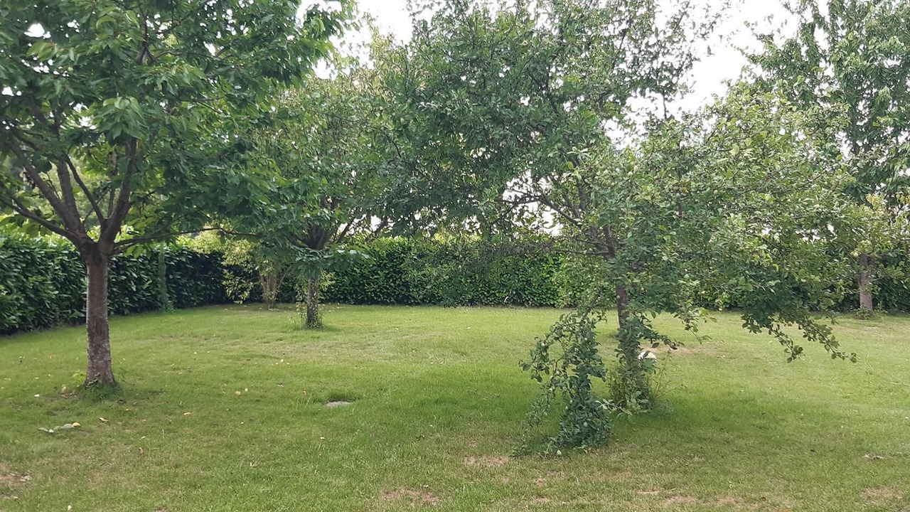Photo of Outdoor in Cahors