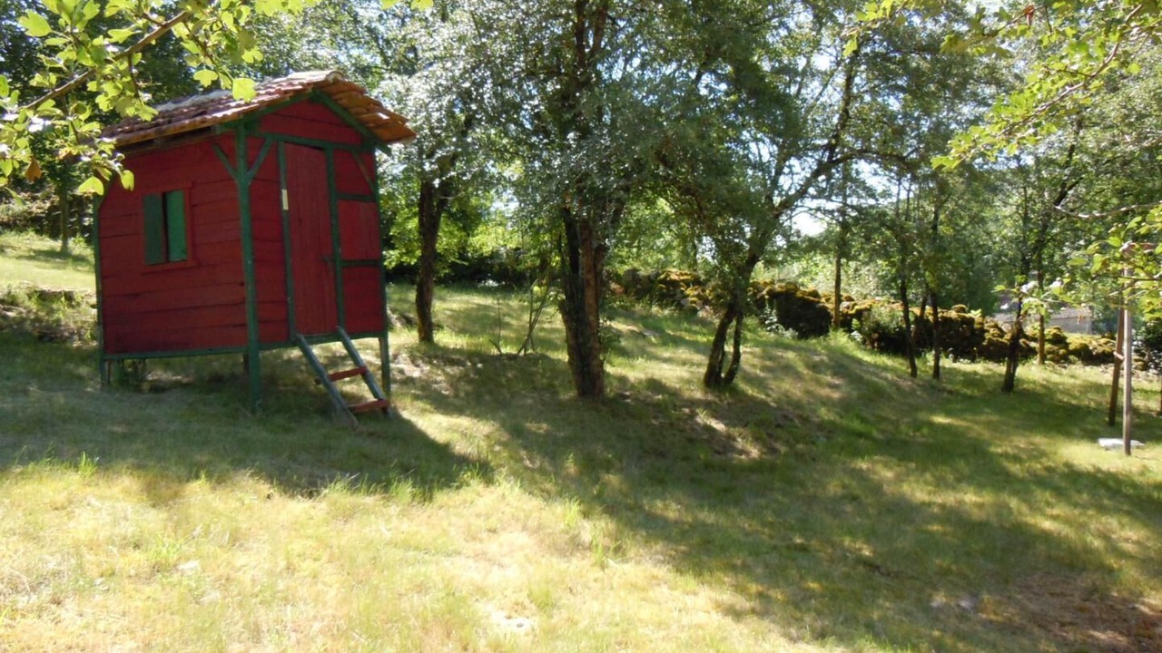 Photo of Outdoor in Corn