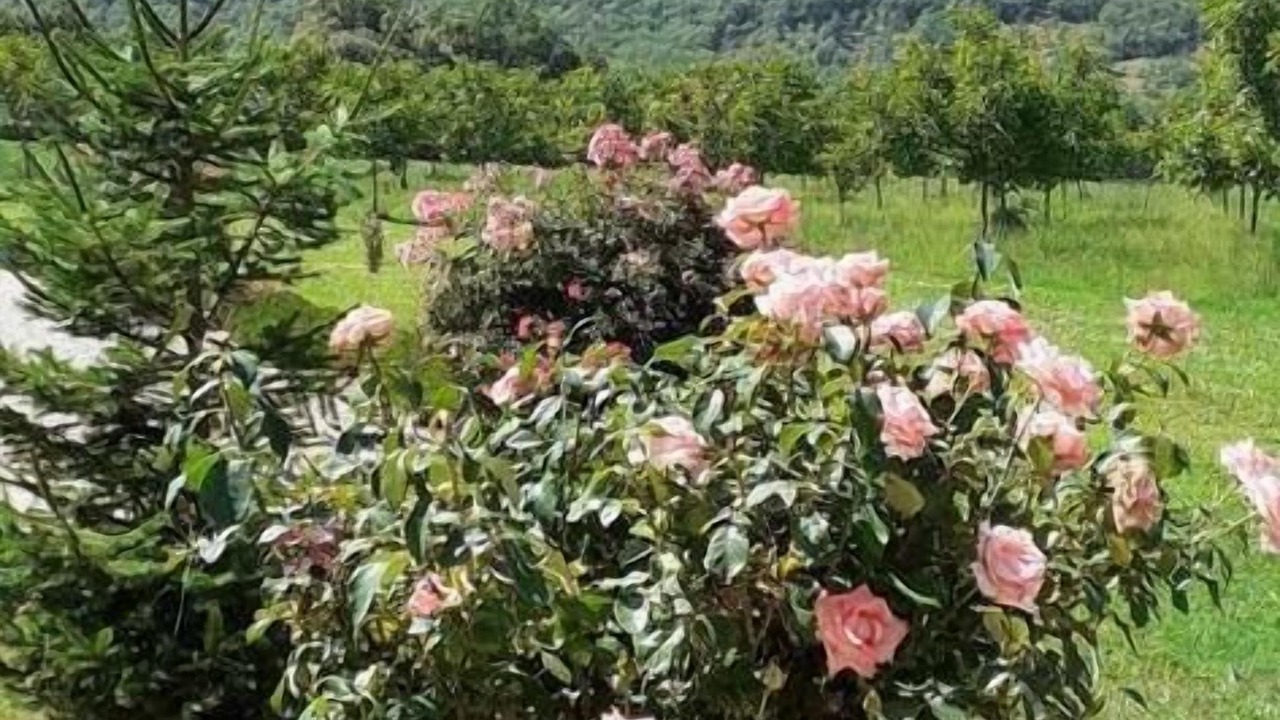 Photo of Outdoor in Creysse