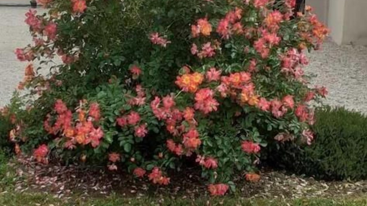 Photo of Outdoor in Creysse