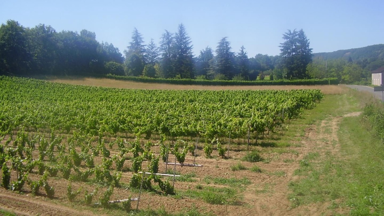 Photo of Others in Albas