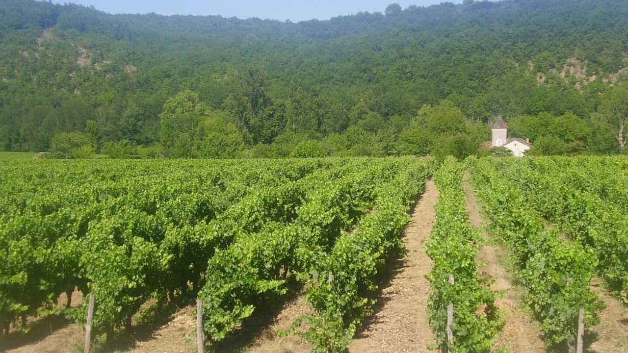 Photo of Others in Albas