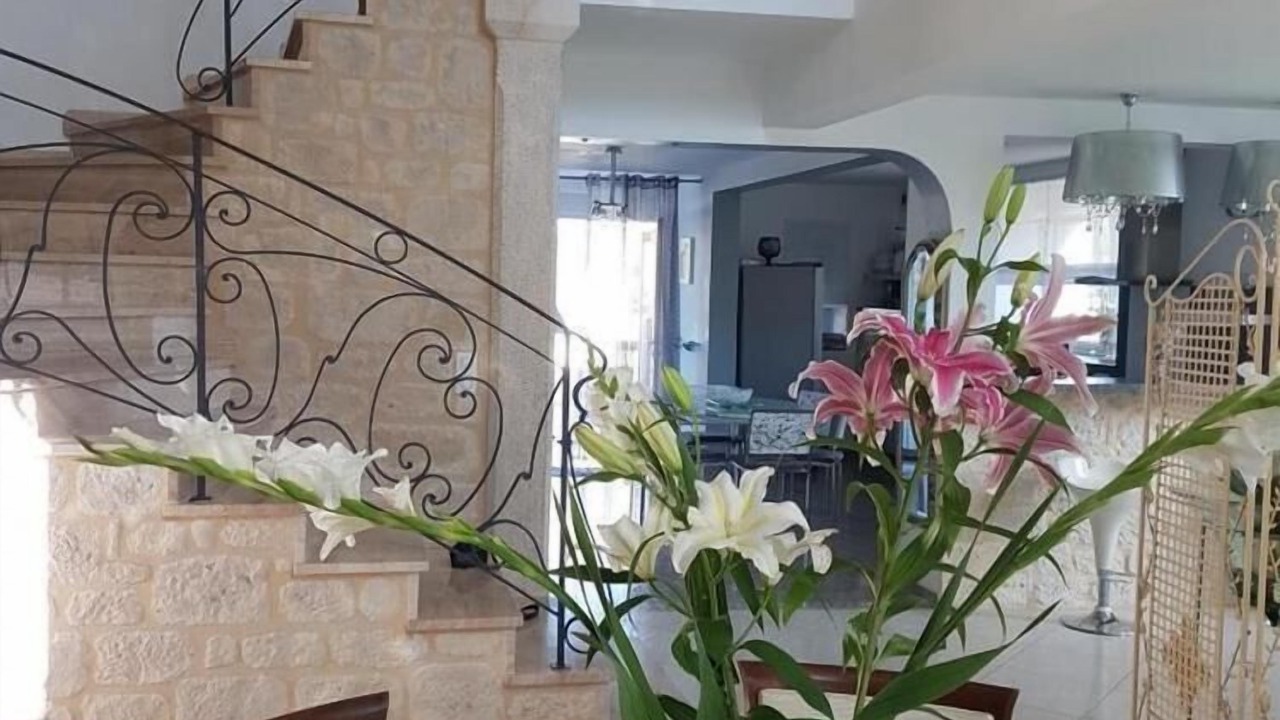 Photo of Others in Saint-Vincent-Rive-d'Olt