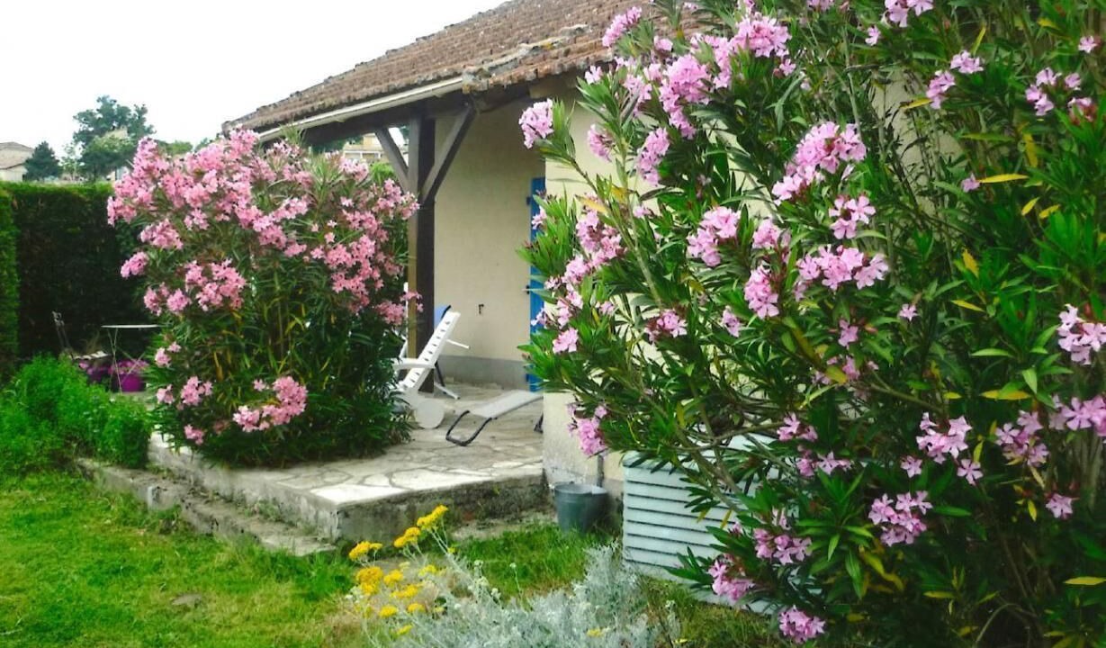 Photo of Outdoor in Castelnau-Montratier-Sainte-Alauzie