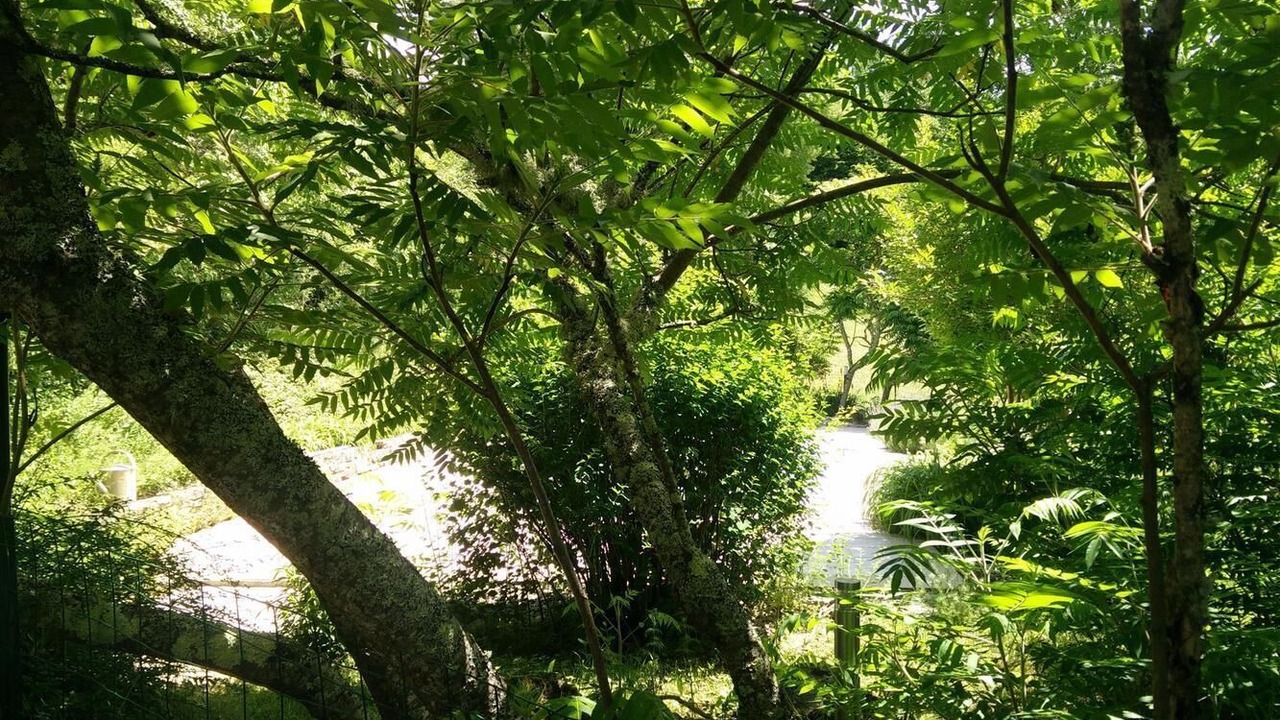 Photo of Outdoor in La Masse