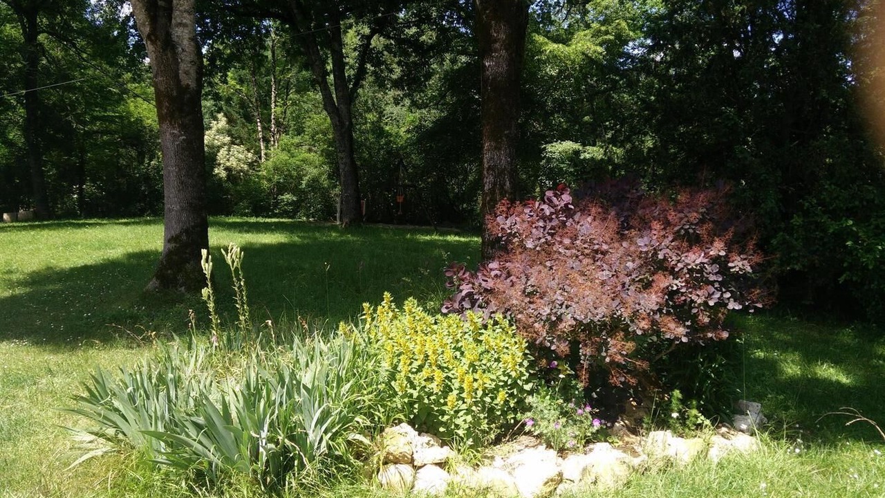 Photo of Outdoor in La Masse