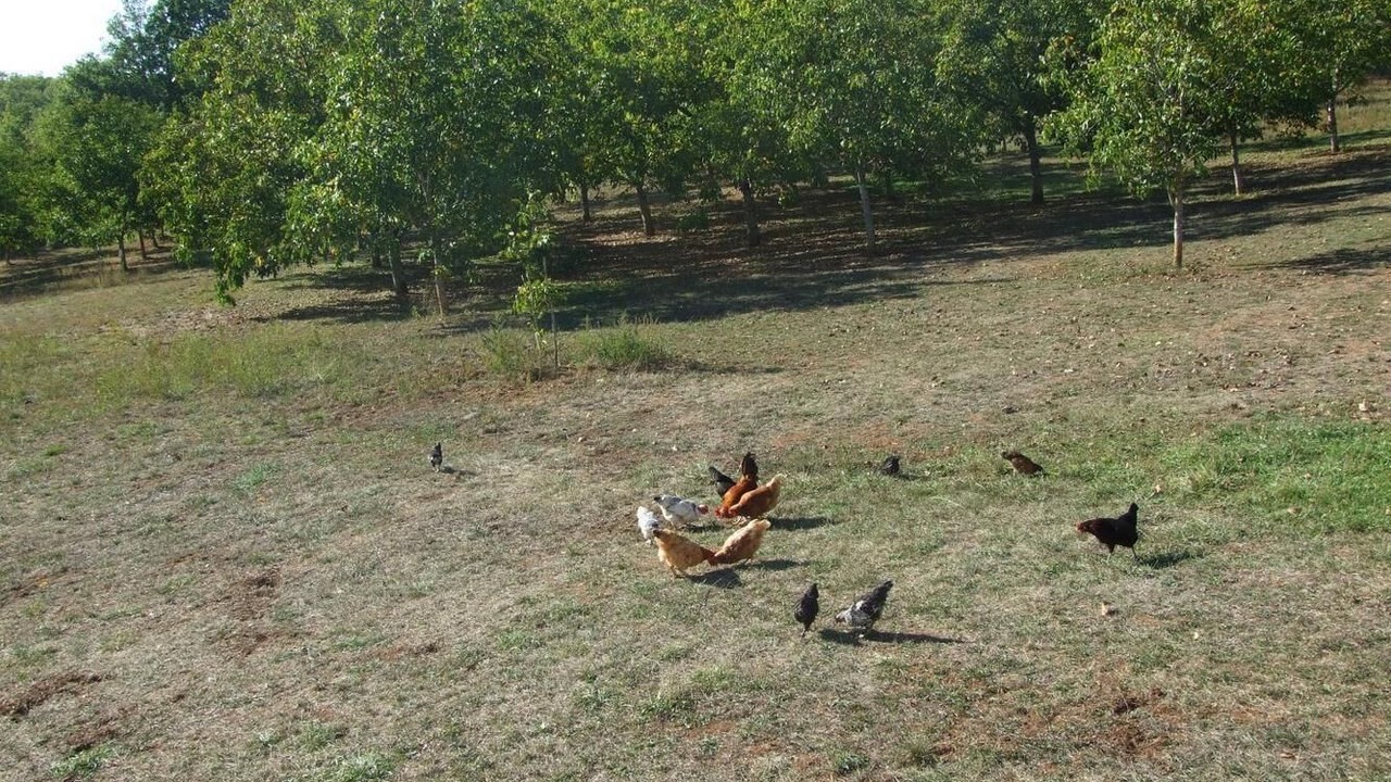 Photo of Others in Gignac