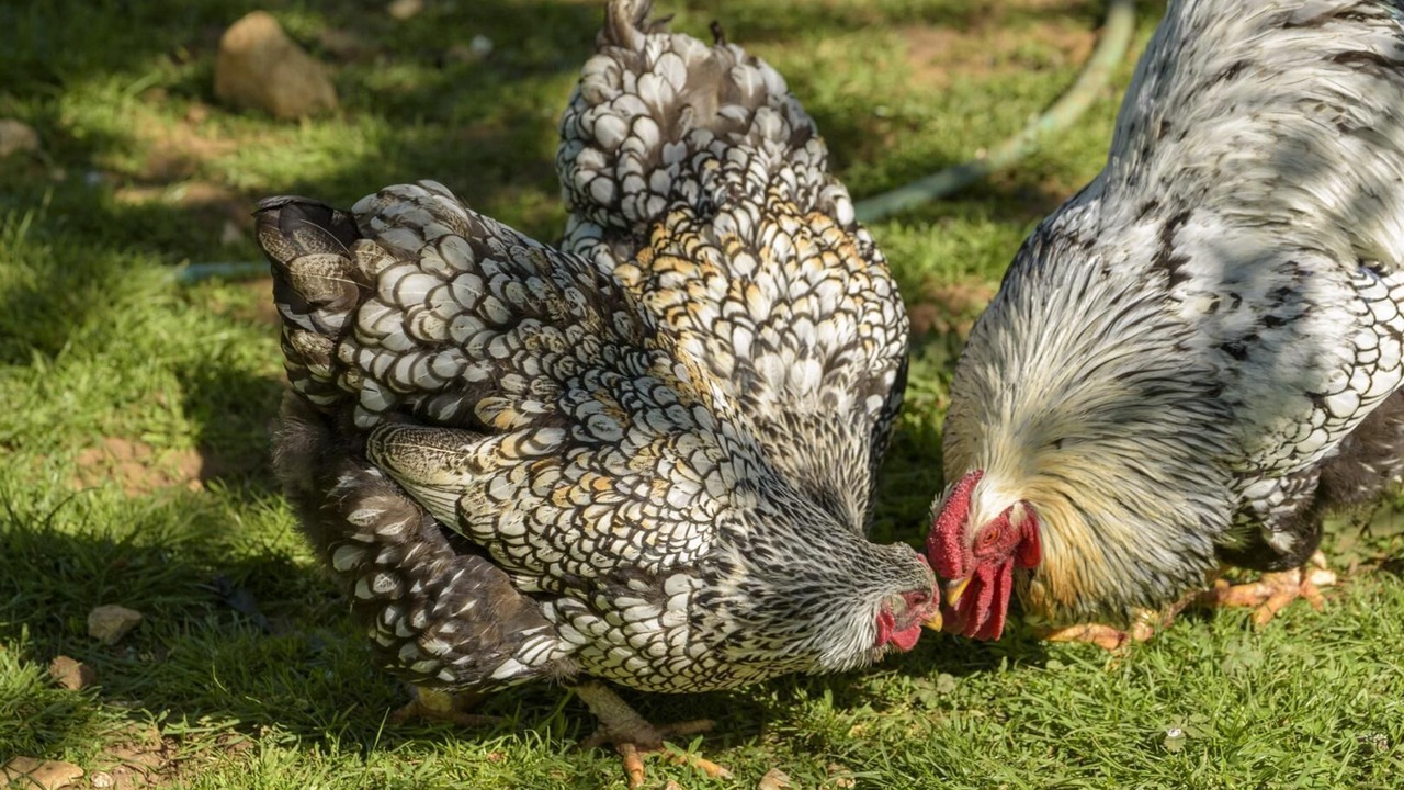 Photo of Others in Mayrac