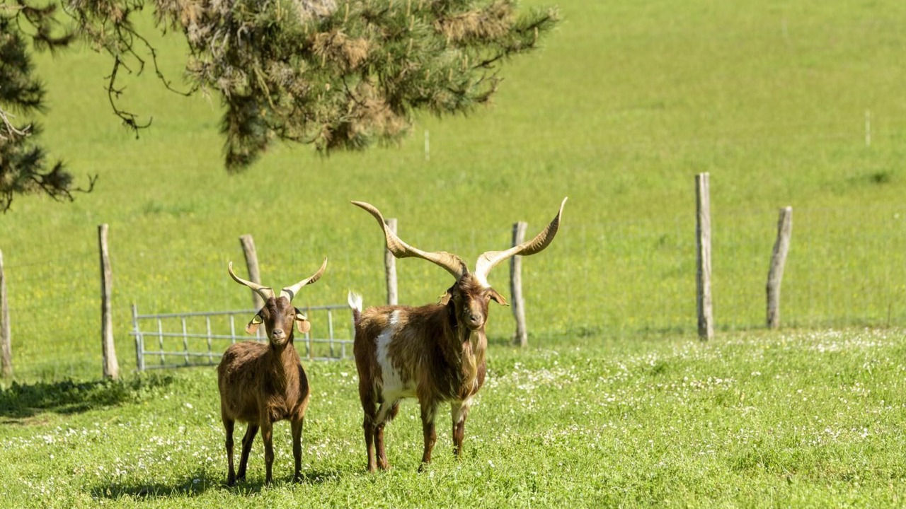 Photo of Outdoor in Mayrac