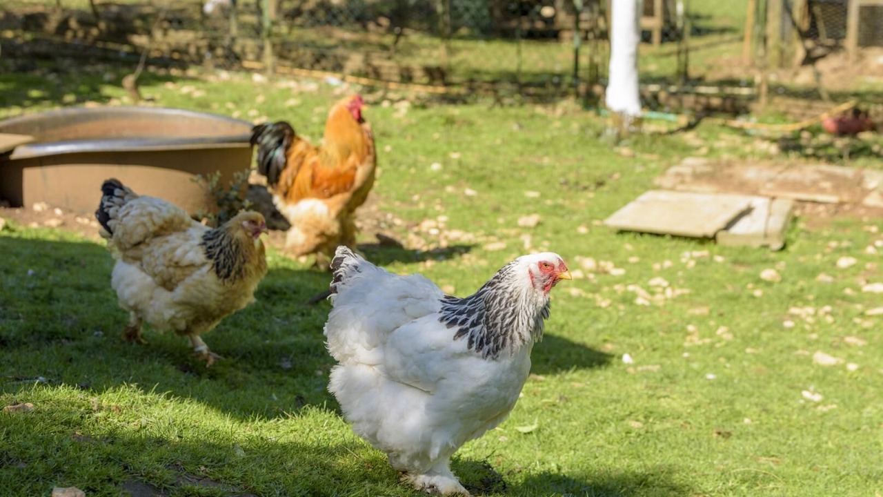 Photo of Outdoor in Mayrac