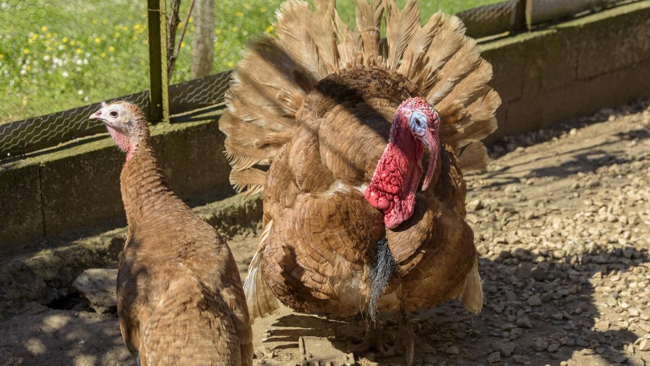 Photo of Others in Mayrac